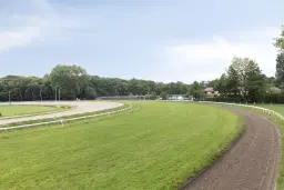 Renbaan Duindigt te Wassenaar