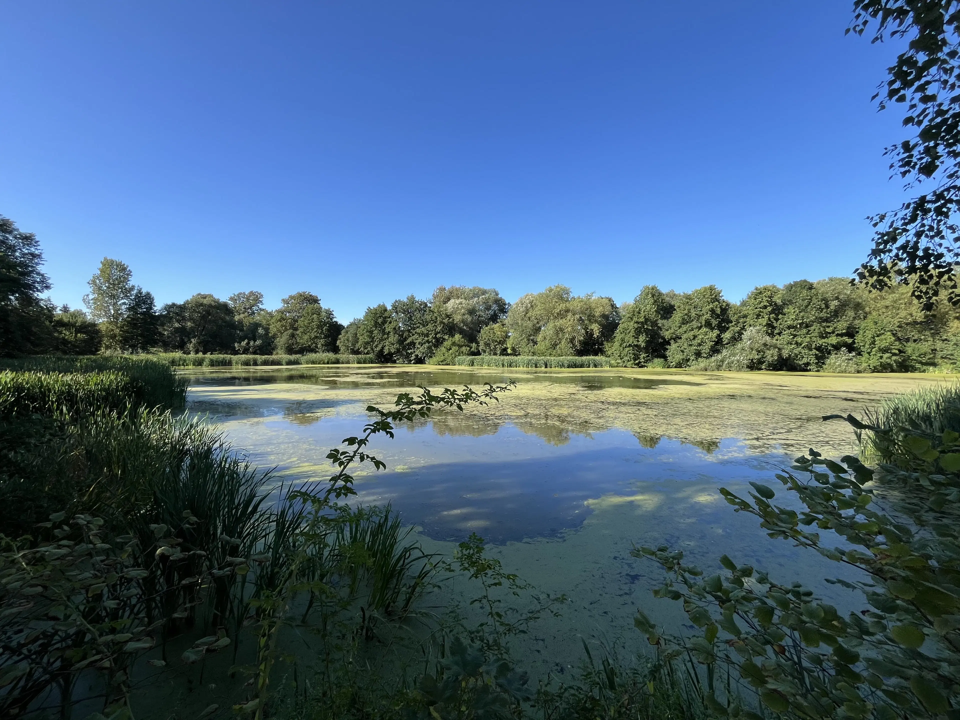 Vakwerkhuis met ruime tuin en bijgebouw op perceel van 821 m² in Dobitschen - Duitsland