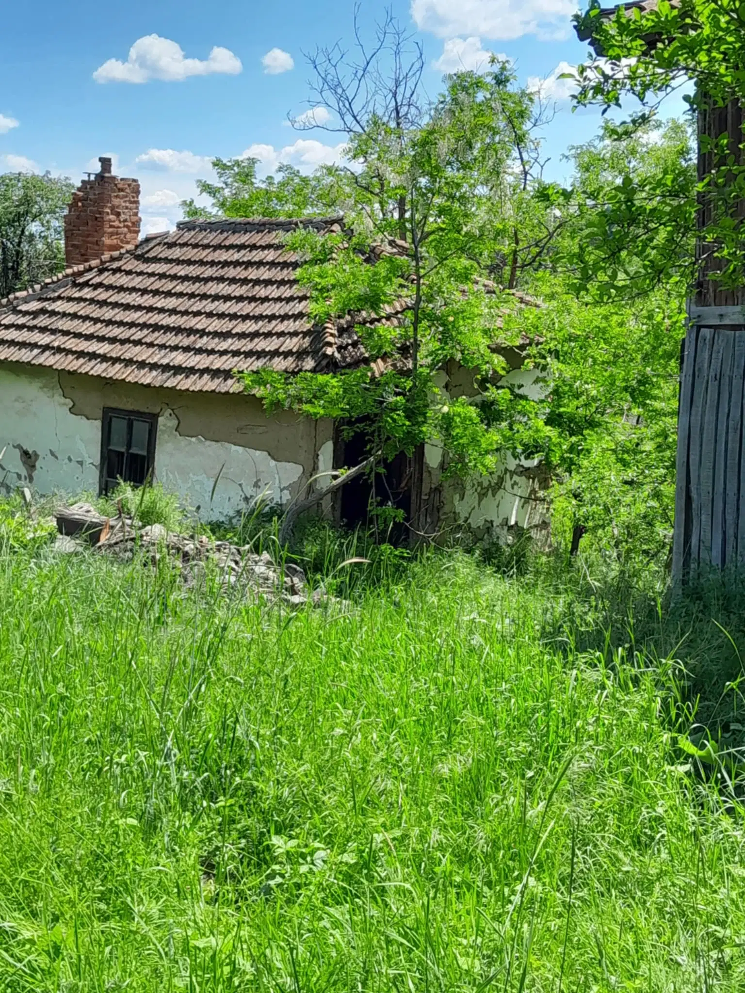 Woning aan de rivier met bijgebouw en 1.100 m² grond in Podgore, Vidin - Bulgarije