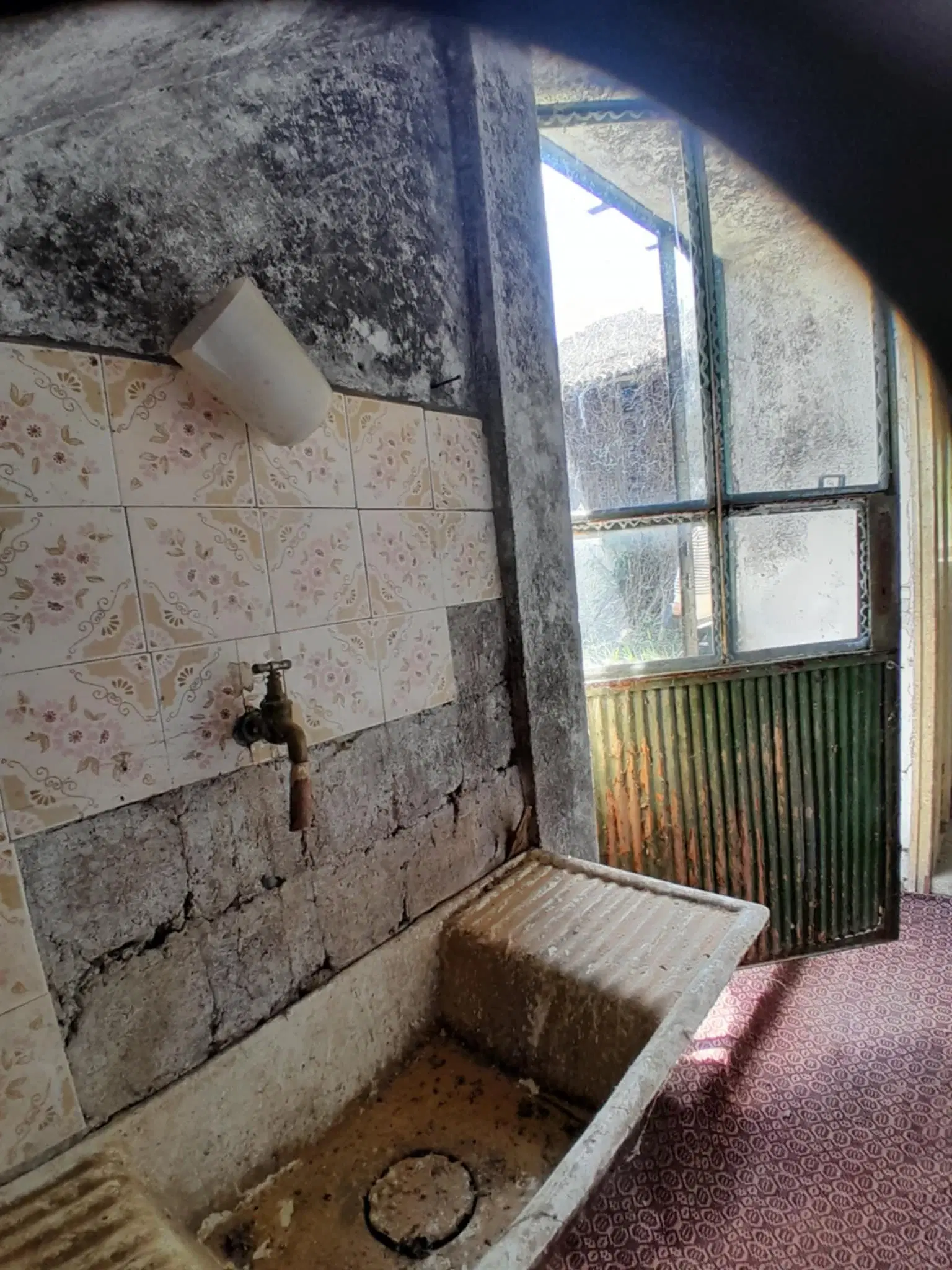 Woning aan de rivier met bijgebouw en 1.100 m² grond in Podgore, Vidin - Bulgarije