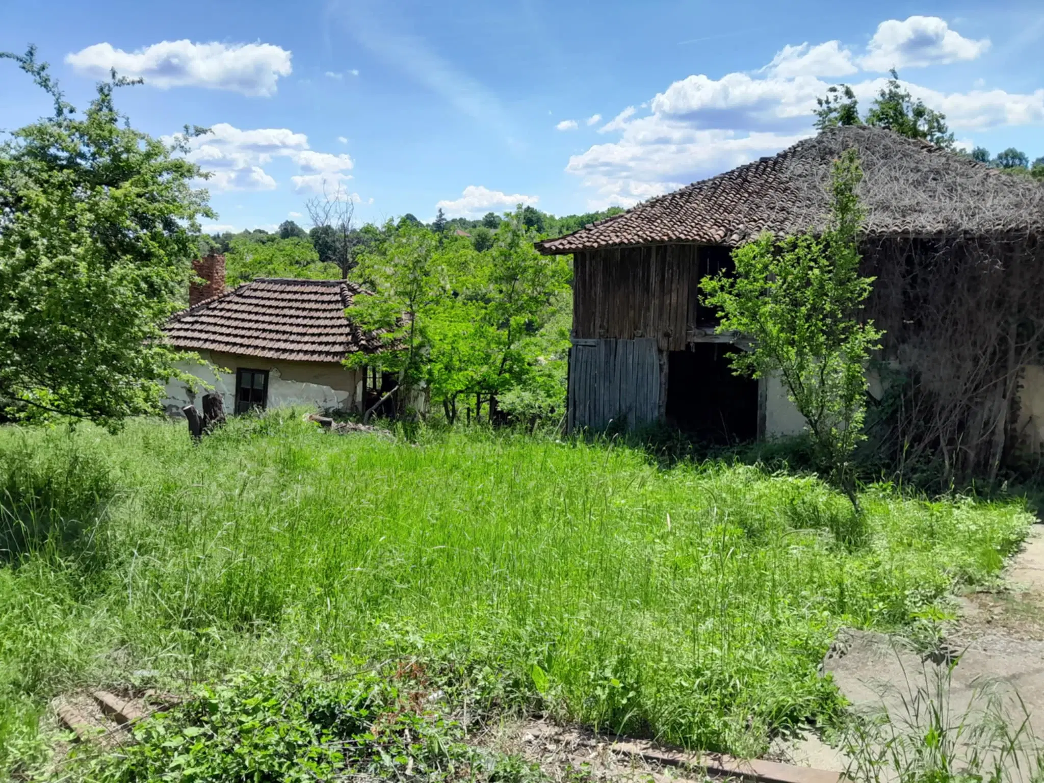 Woning aan de rivier met bijgebouw en 1.100 m² grond in Podgore, Vidin - Bulgarije