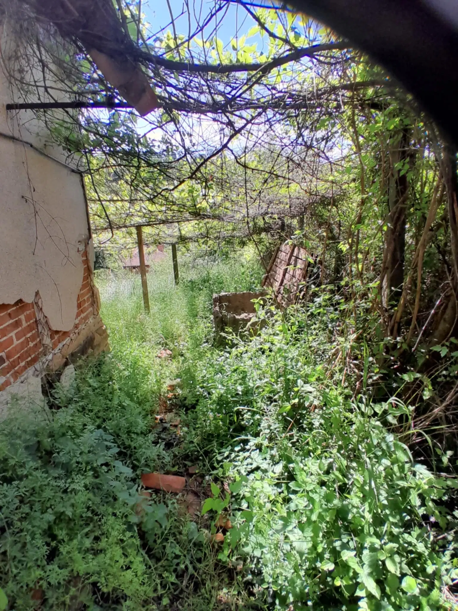 Woning aan de rivier met bijgebouw en 1.100 m² grond in Podgore, Vidin - Bulgarije