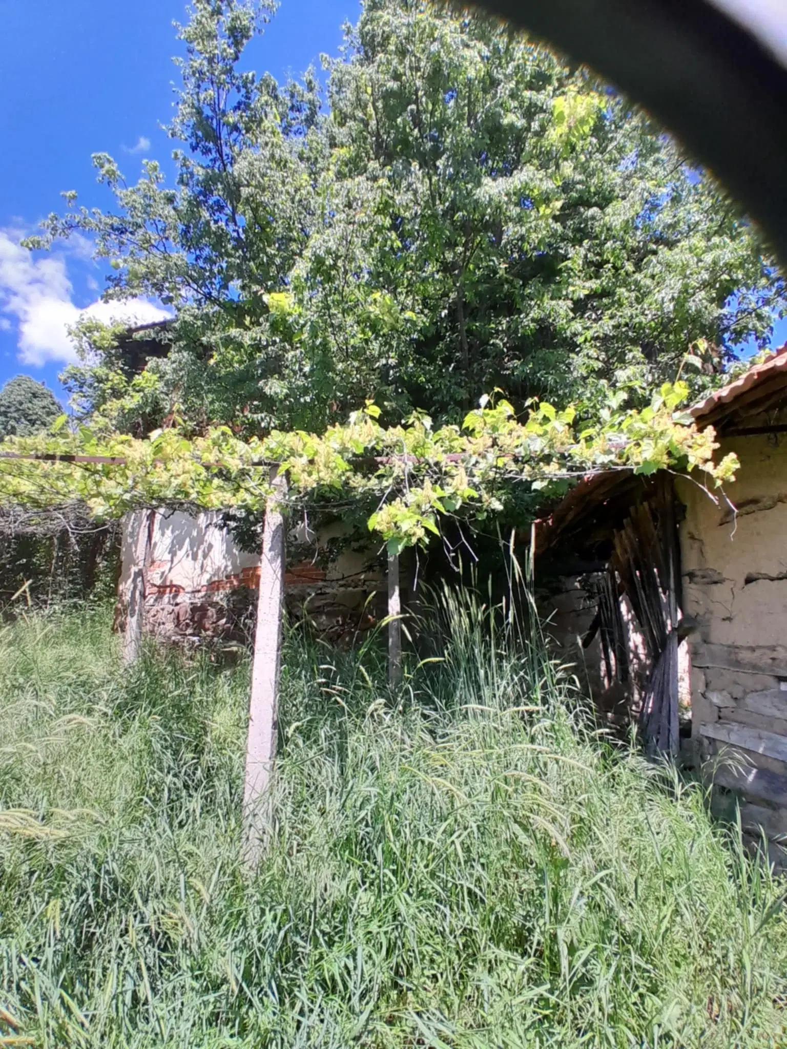 Woning aan de rivier met bijgebouw en 1.100 m² grond in Podgore, Vidin - Bulgarije