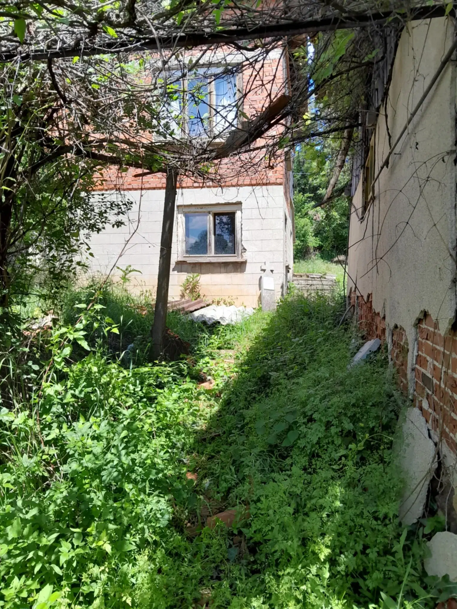Woning aan de rivier met bijgebouw en 1.100 m² grond in Podgore, Vidin - Bulgarije