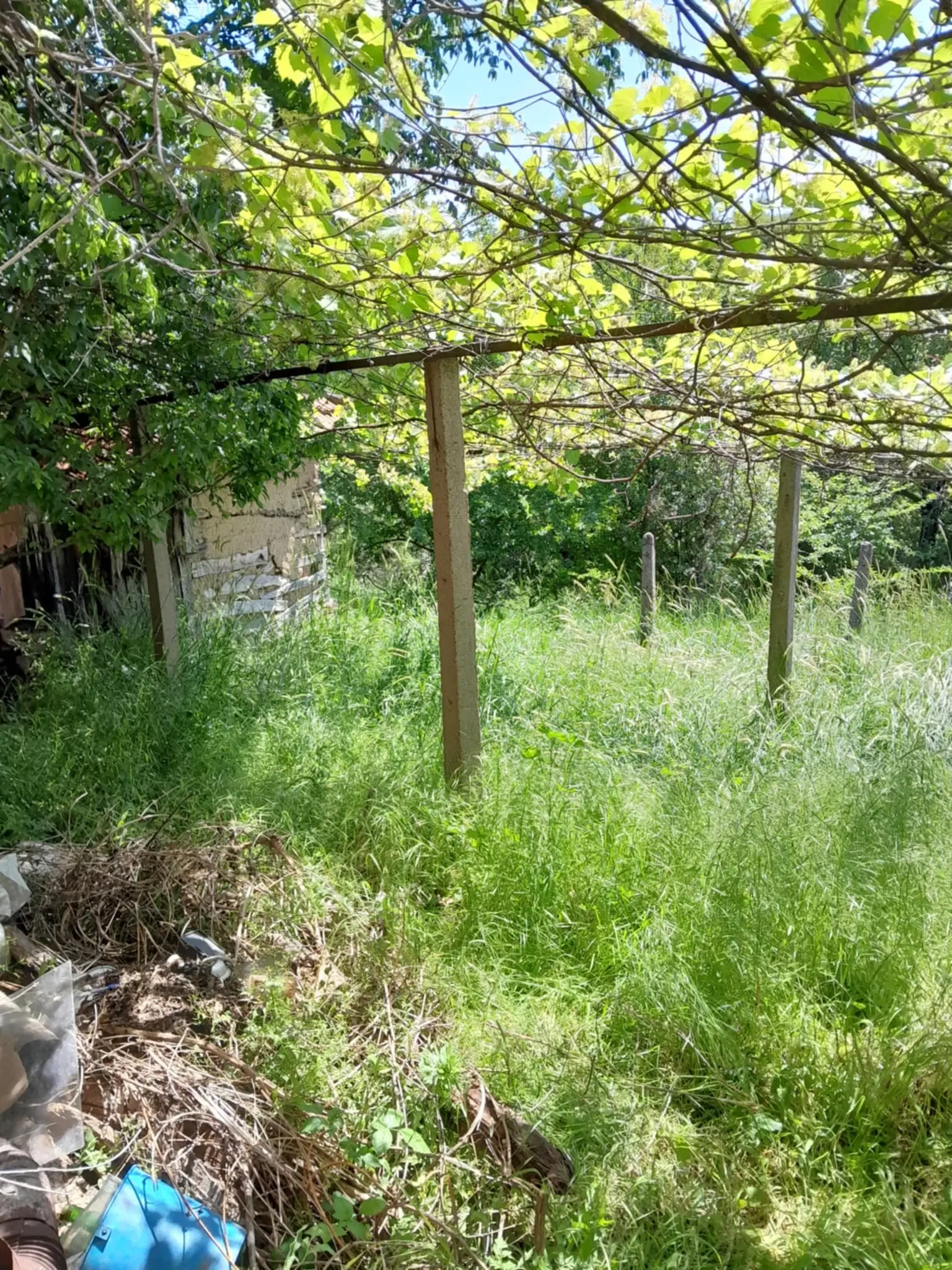 Woning aan de rivier met bijgebouw en 1.100 m² grond in Podgore, Vidin - Bulgarije