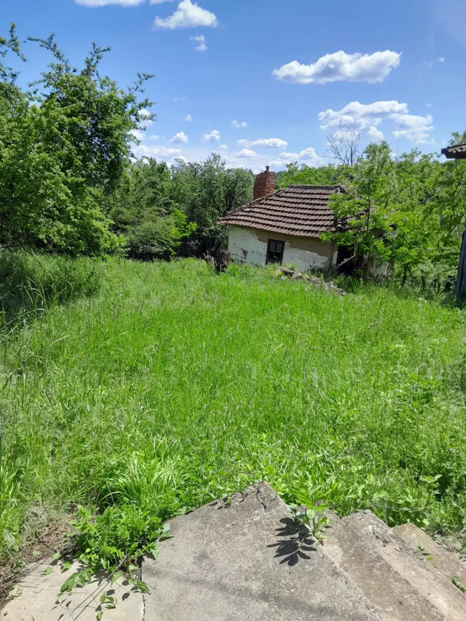 Woning aan de rivier met bijgebouw en 1.100 m² grond in Podgore, Vidin - Bulgarije