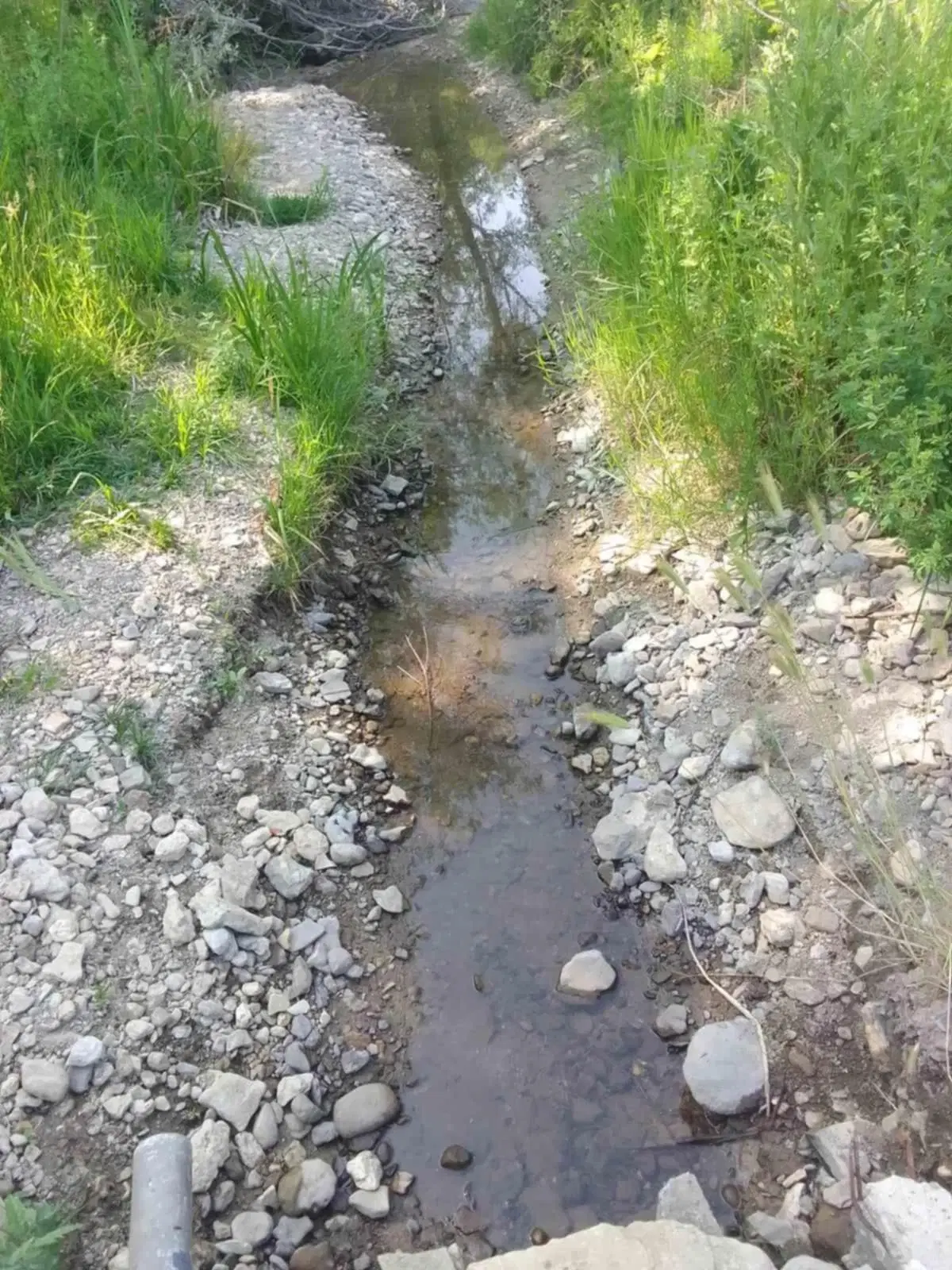 Woning aan de rivier met bijgebouw en 1.100 m² grond in Podgore, Vidin - Bulgarije