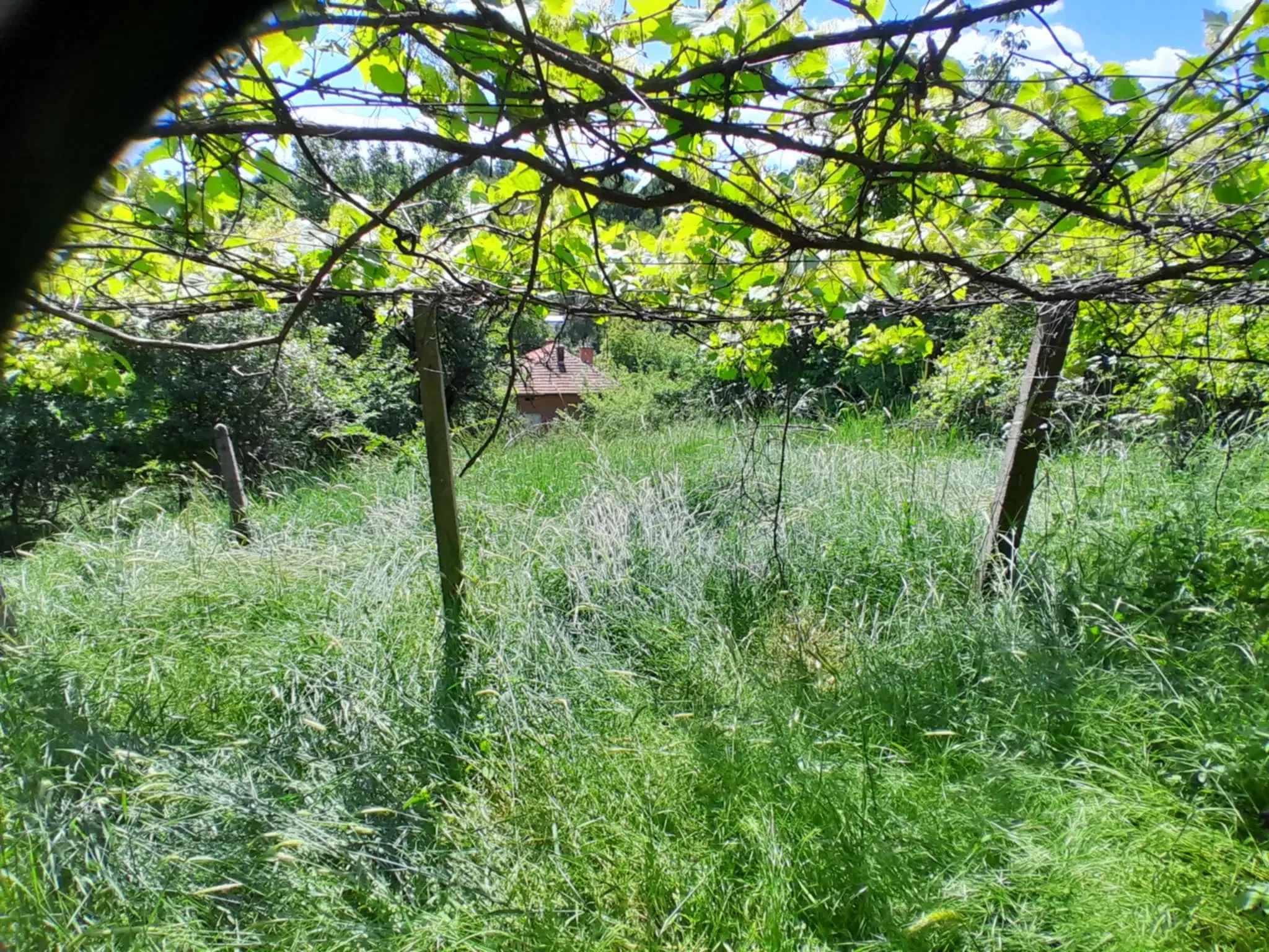 Woning aan de rivier met bijgebouw en 1.100 m² grond in Podgore, Vidin - Bulgarije