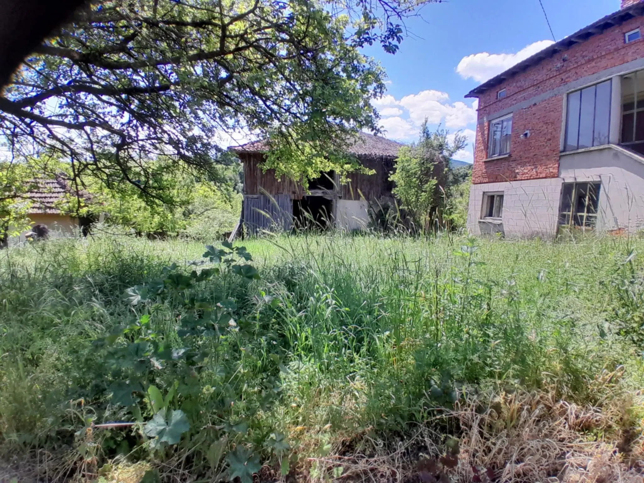 Woning aan de rivier met bijgebouw en 1.100 m² grond in Podgore, Vidin - Bulgarije