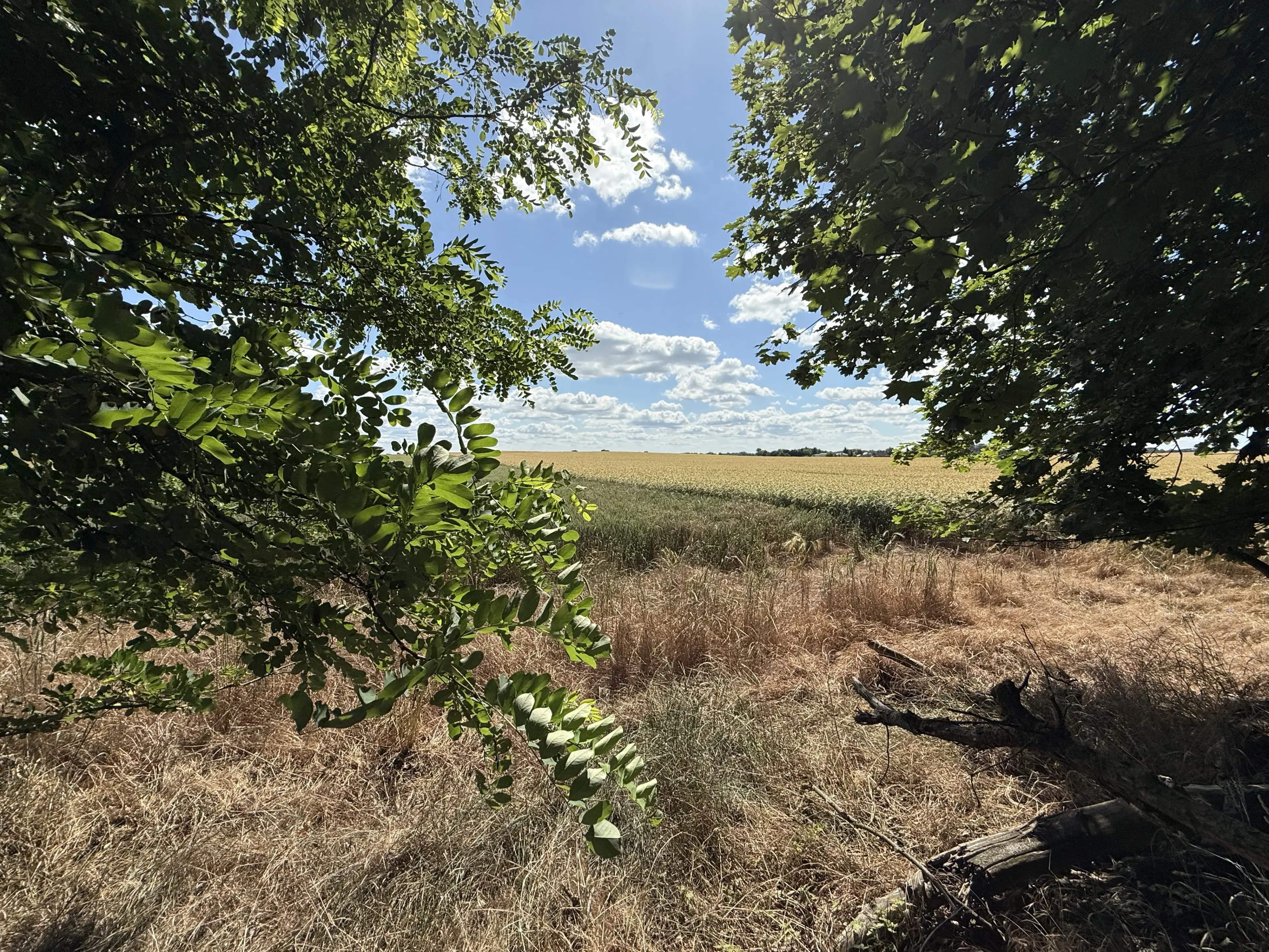 4.870 m² perceel in Lebus, Brandenburg - Duitsland