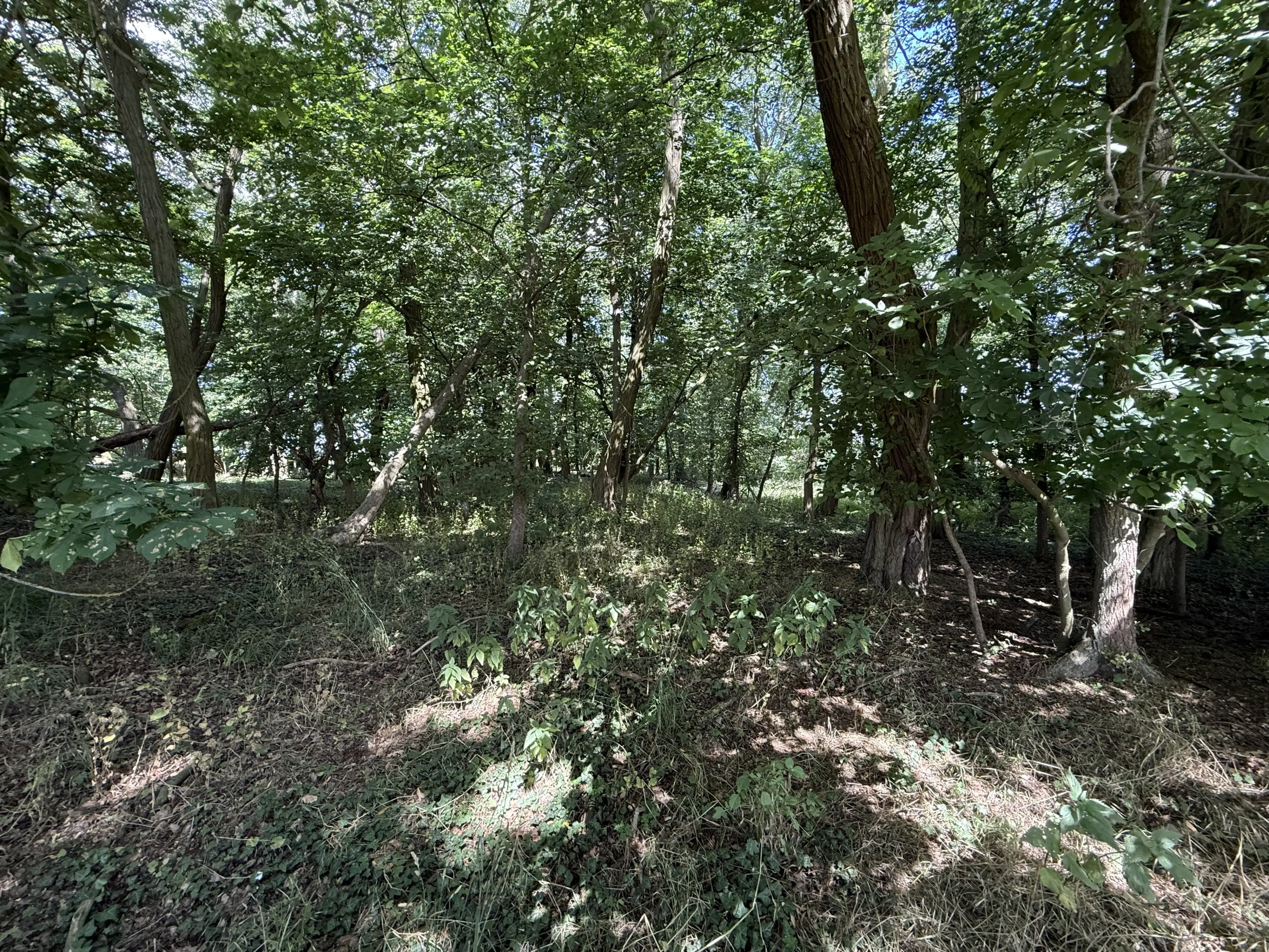 4.870 m² perceel in Lebus, Brandenburg - Duitsland