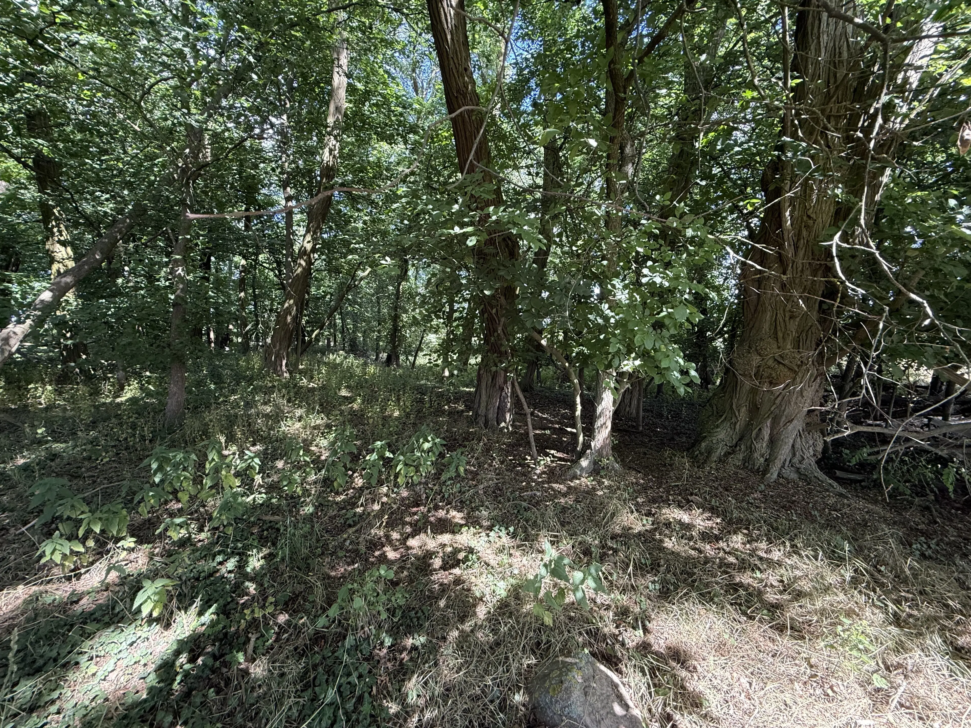 4.870 m² perceel in Lebus, Brandenburg - Duitsland