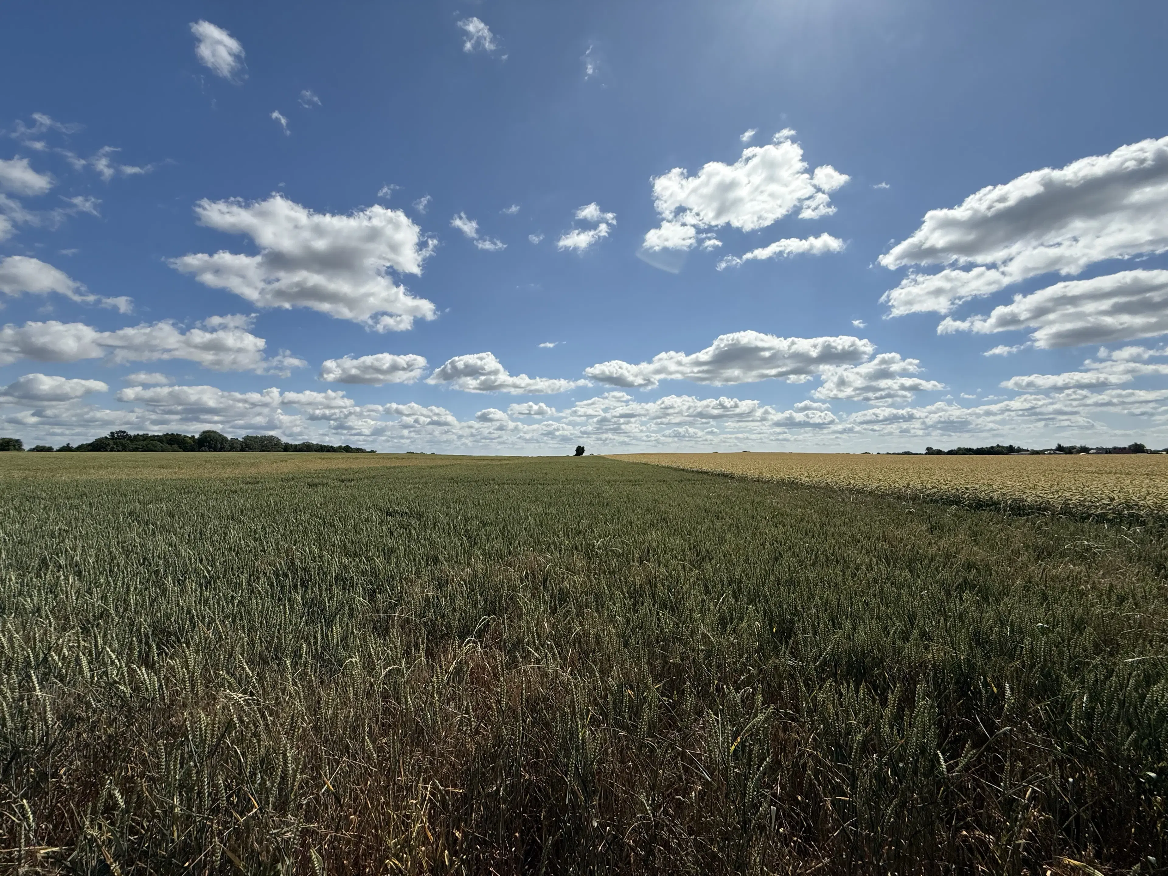 4.870 m² perceel in Lebus, Brandenburg - Duitsland