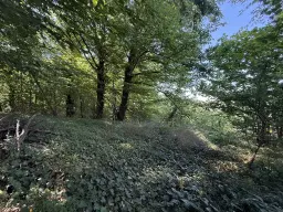 Bijzonder perceel 2.020 m², nabij rivier de Freiberger Mulde - Leisnig - Duitsland