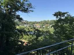 Bijzonder perceel 2.020 m², nabij rivier de Freiberger Mulde - Leisnig - Duitsland