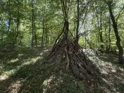 Bijzonder perceel 2.020 m², nabij rivier de Freiberger Mulde - Leisnig - Duitsland