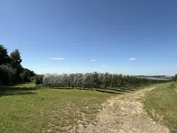 Bijzonder perceel 2.020 m², nabij rivier de Freiberger Mulde - Leisnig - Duitsland