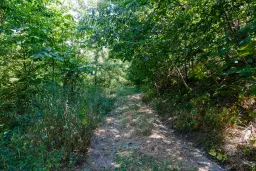 2 verdiepingen tellend huis met uitzicht op de Donau, bijgebouwen + 967 m² grond in Ostrov - Bulgarije