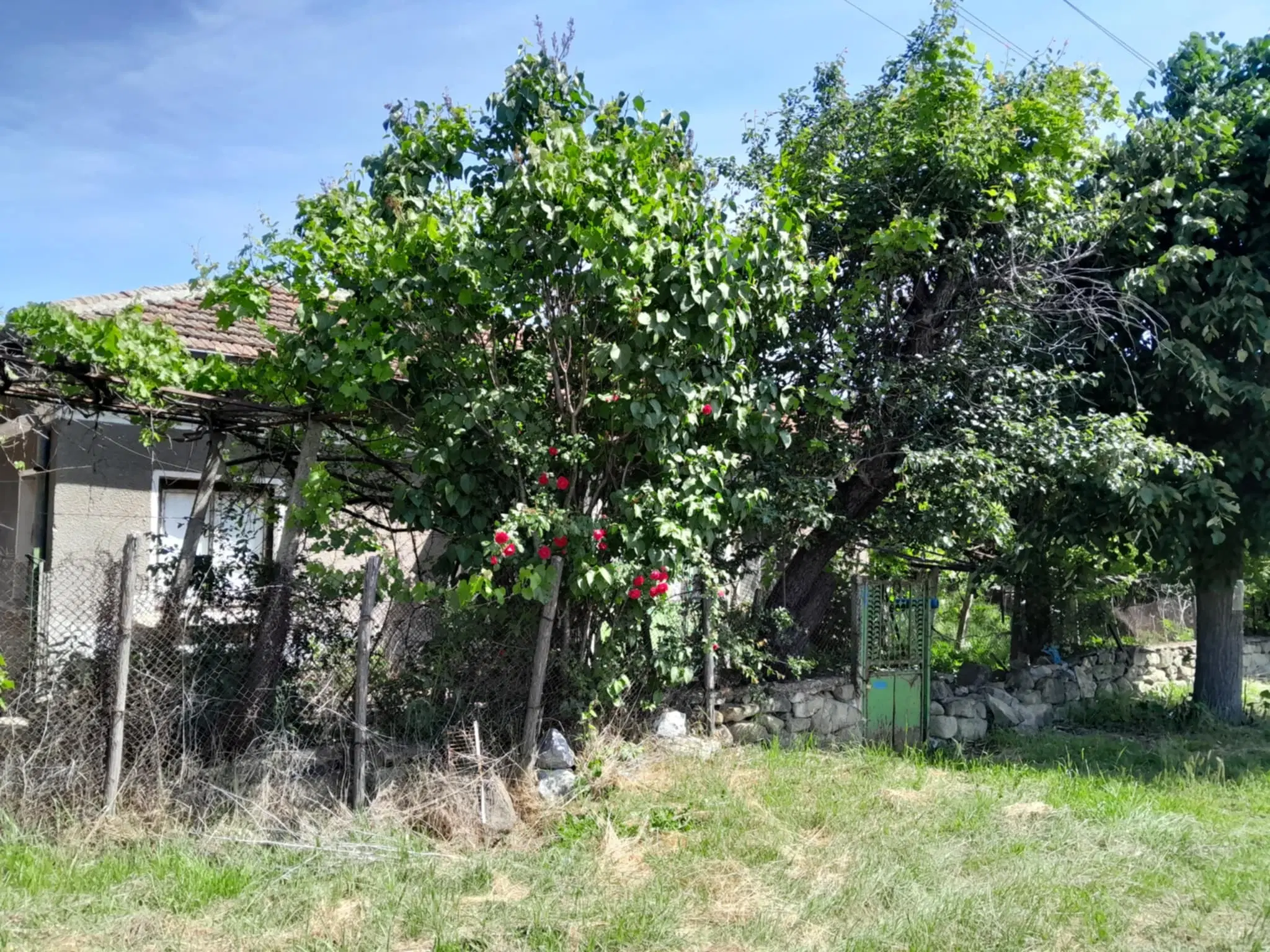 2.480 m² land met 2 huizen en bijgebouwen in Rakovitsa, Vidin - Bulgarije