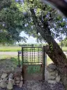 2.480 m² land met 2 huizen en bijgebouwen in Rakovitsa, Vidin - Bulgarije