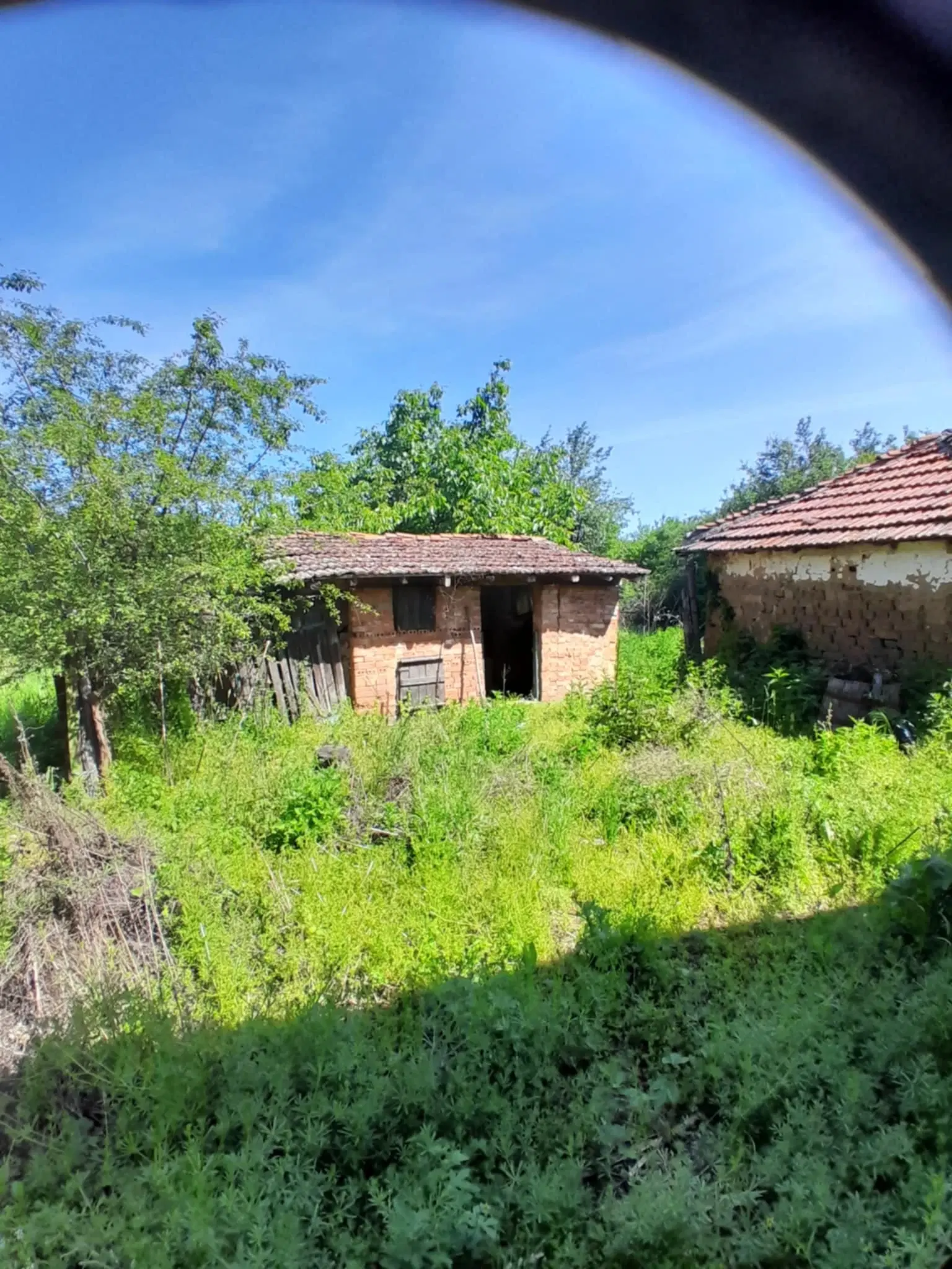 2.480 m² land met 2 huizen en bijgebouwen in Rakovitsa, Vidin - Bulgarije