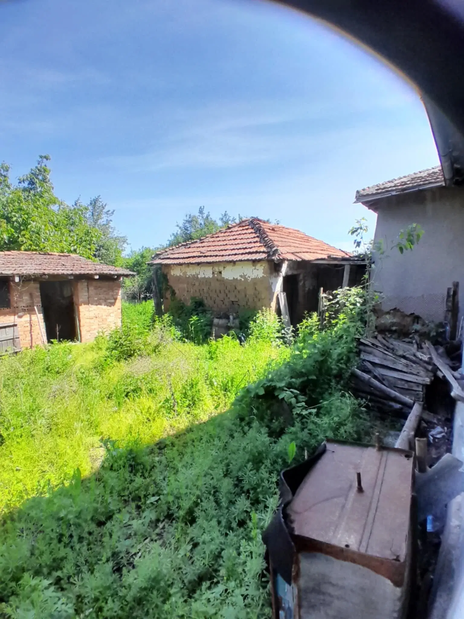 2.480 m² land met 2 huizen en bijgebouwen in Rakovitsa, Vidin - Bulgarije