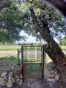 2.480 m² land met 2 huizen en bijgebouwen in Rakovitsa, Vidin - Bulgarije