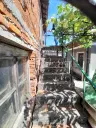 2.480 m² land met 2 huizen en bijgebouwen in Rakovitsa, Vidin - Bulgarije
