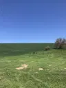 Authentiek 100 jaar oud landelijk huis + 1.006 m² grond in Glavan, Silistra - Bulgarije