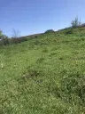 Authentiek 100 jaar oud landelijk huis + 1.006 m² grond in Glavan, Silistra - Bulgarije