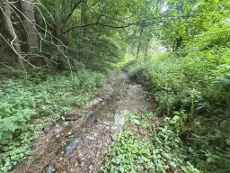 Perceel van 1.429 m² in de natuur van Greiz - Duitsland