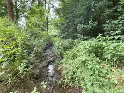 Perceel van 1.429 m² in de natuur van Greiz - Duitsland