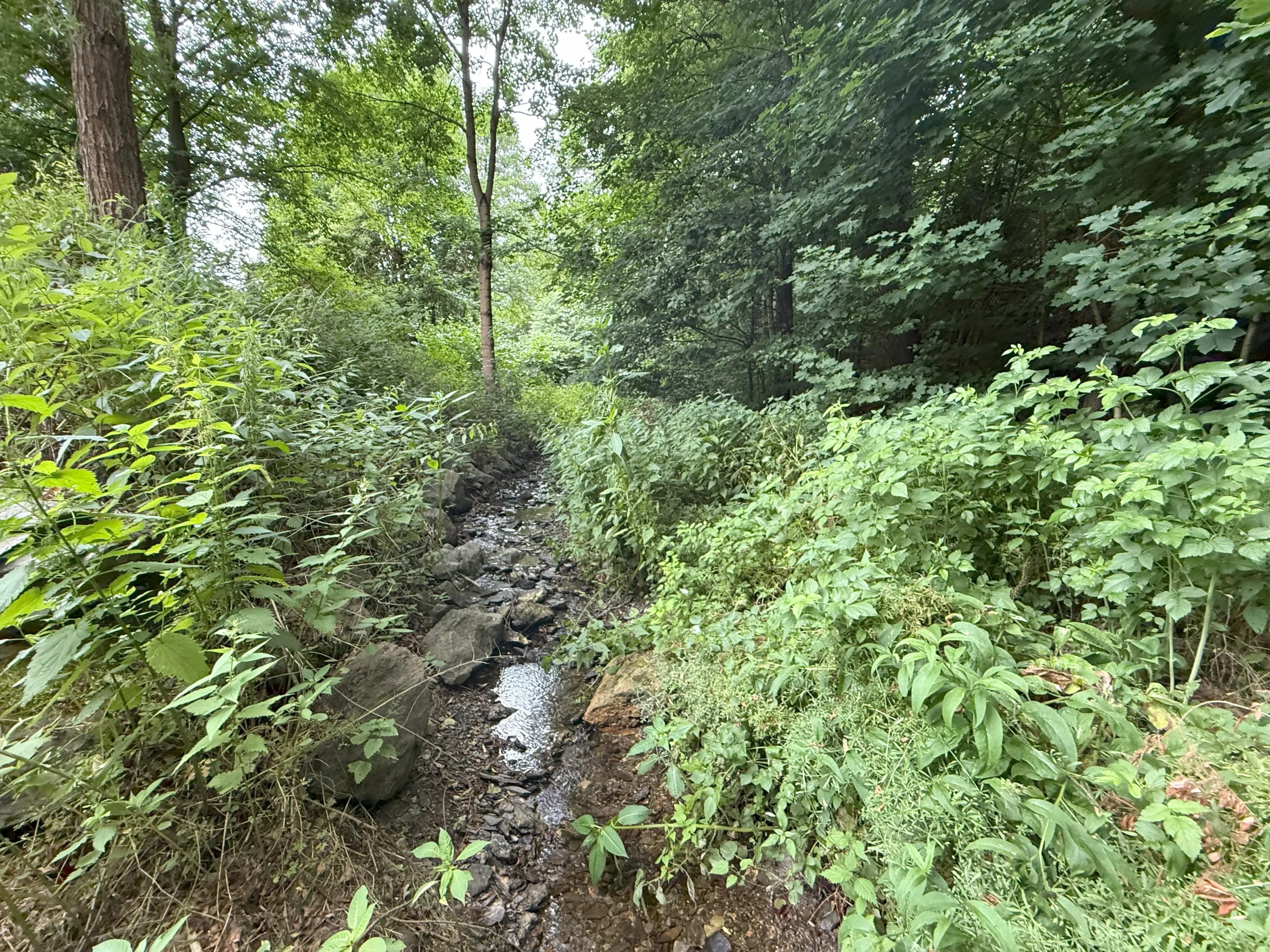 Perceel van 1.429 m² in de natuur van Greiz - Duitsland