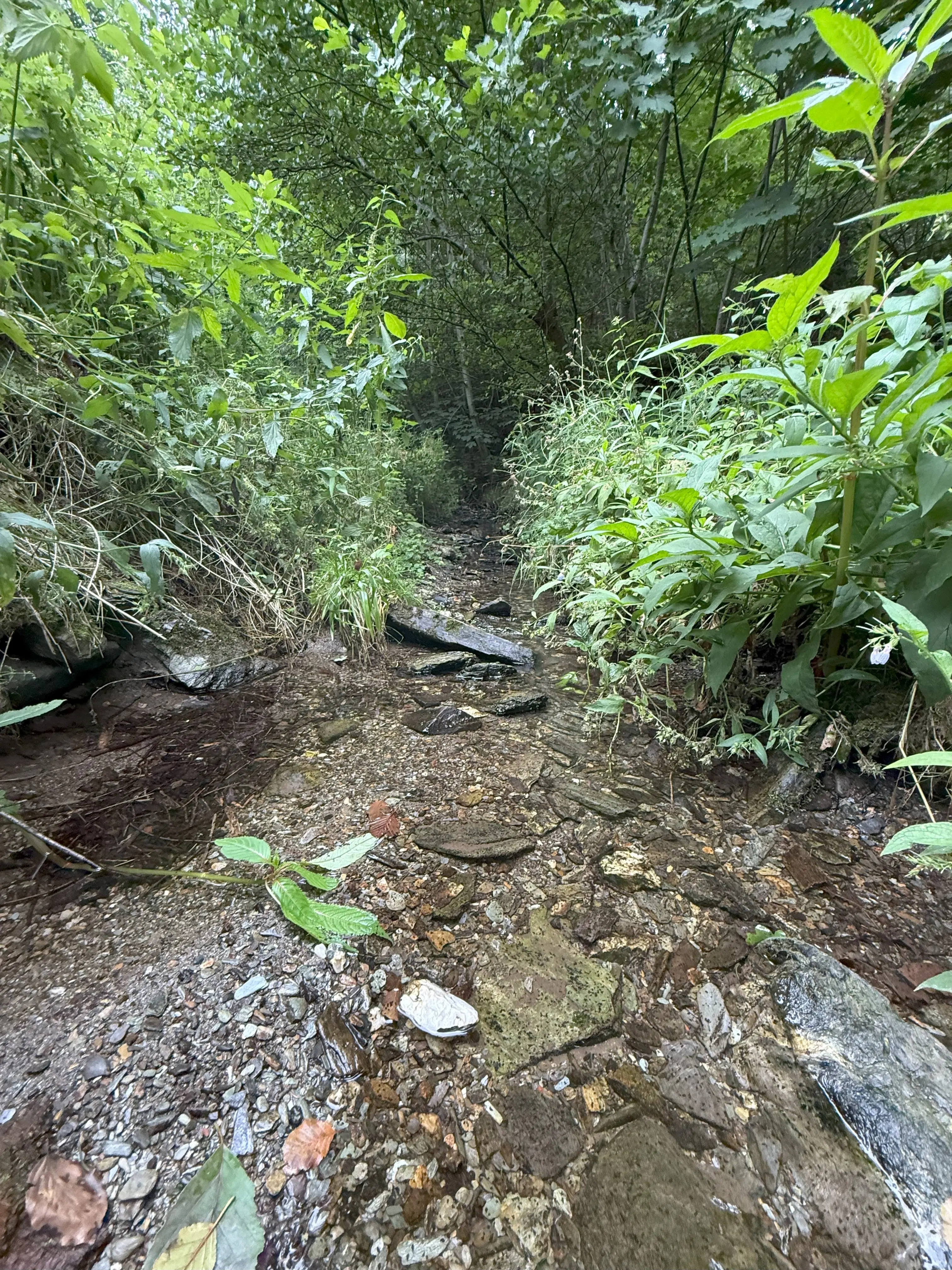 Perceel van 1.429 m² in de natuur van Greiz - Duitsland