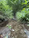 Perceel van 1.429 m² in de natuur van Greiz - Duitsland