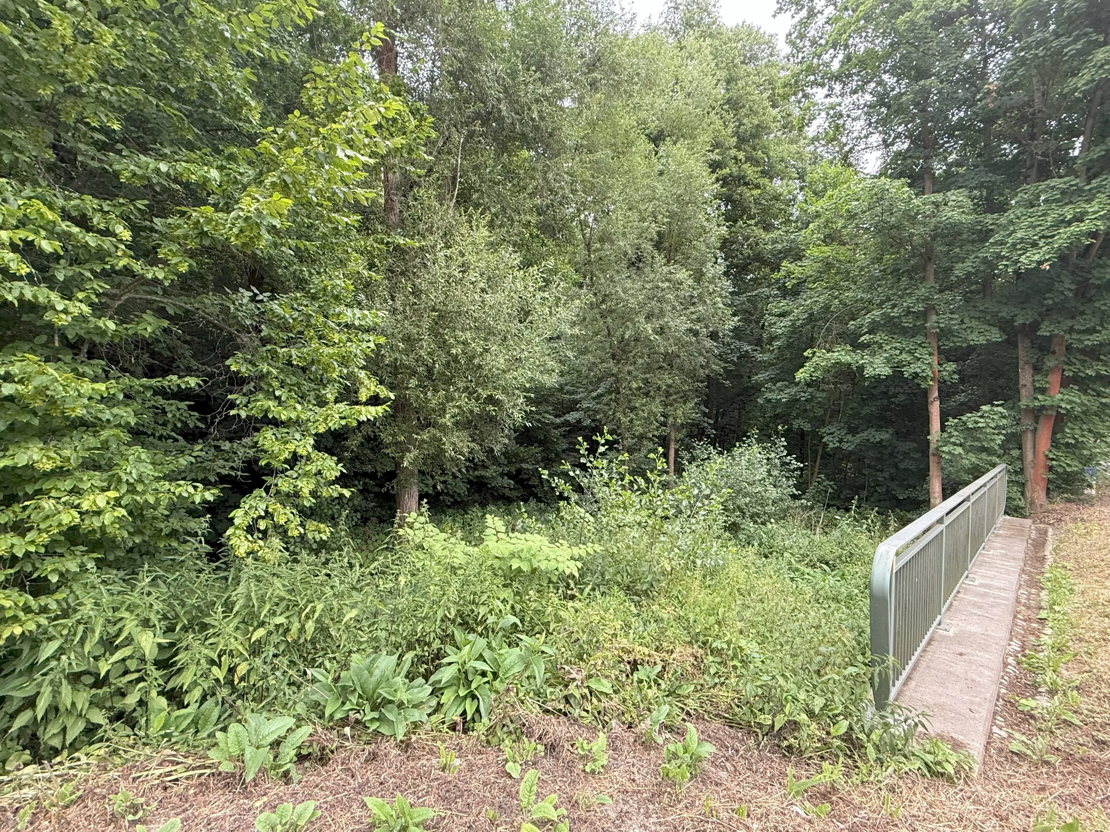 Perceel van 1.429 m² in de natuur van Greiz - Duitsland