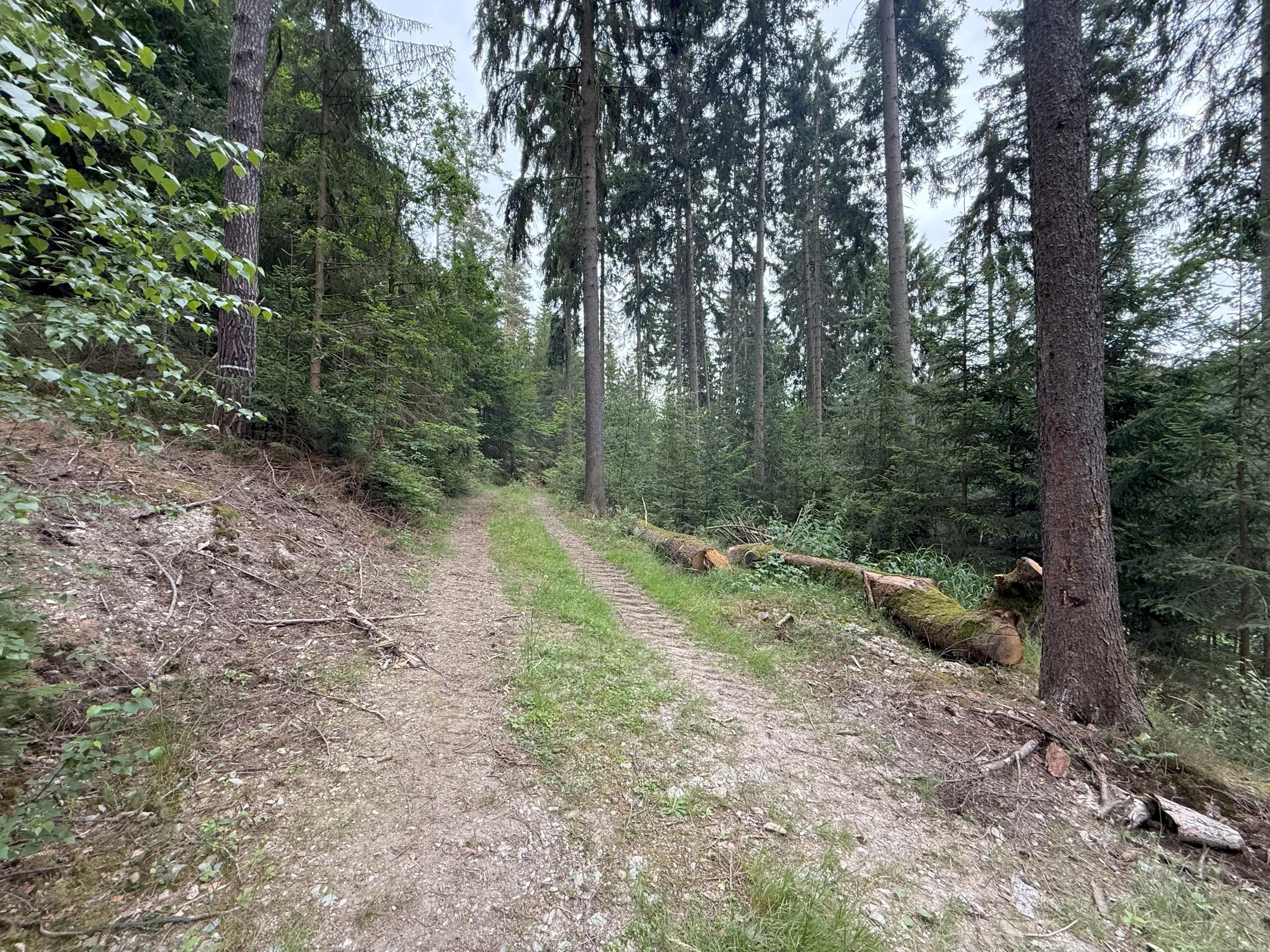 Perceel van 1.429 m² in de natuur van Greiz - Duitsland