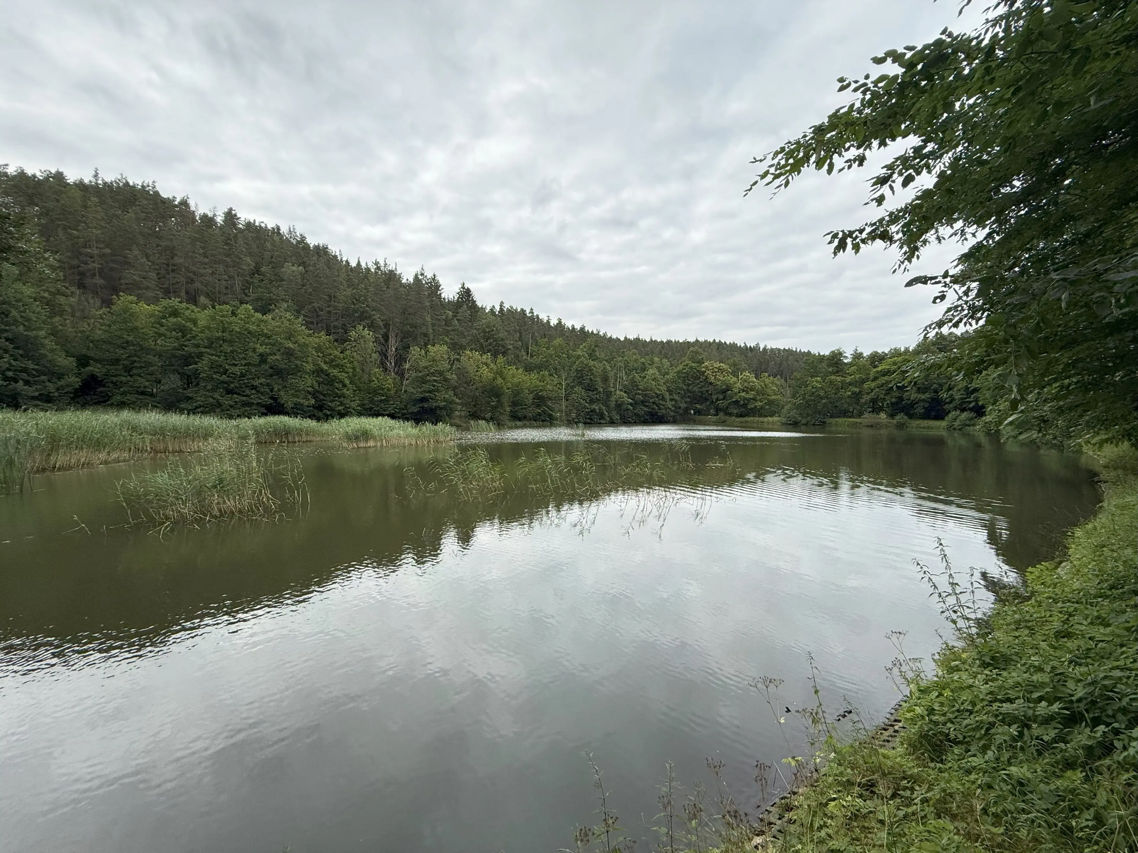Perceel van 1.429 m² in de natuur van Greiz - Duitsland
