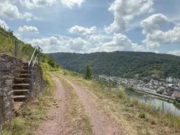 Wijngaard 774 m² met Riesling *direct gebruik mogelijk* in Cochem - Duitsland