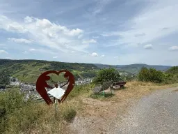 Wijngaard 774 m² met Riesling *direct gebruik mogelijk* in Cochem - Duitsland
