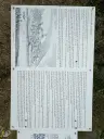 Wijngaard 774 m² met Riesling *direct gebruik mogelijk* in Cochem - Duitsland