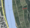 Wijngaard 774 m² met Riesling *direct gebruik mogelijk* in Cochem - Duitsland