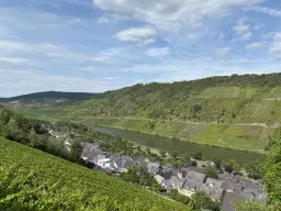 Voormalig wijngaard perceel van 860 m2, herontwikkelingskans in Briedel (Cochem) - Duitsland