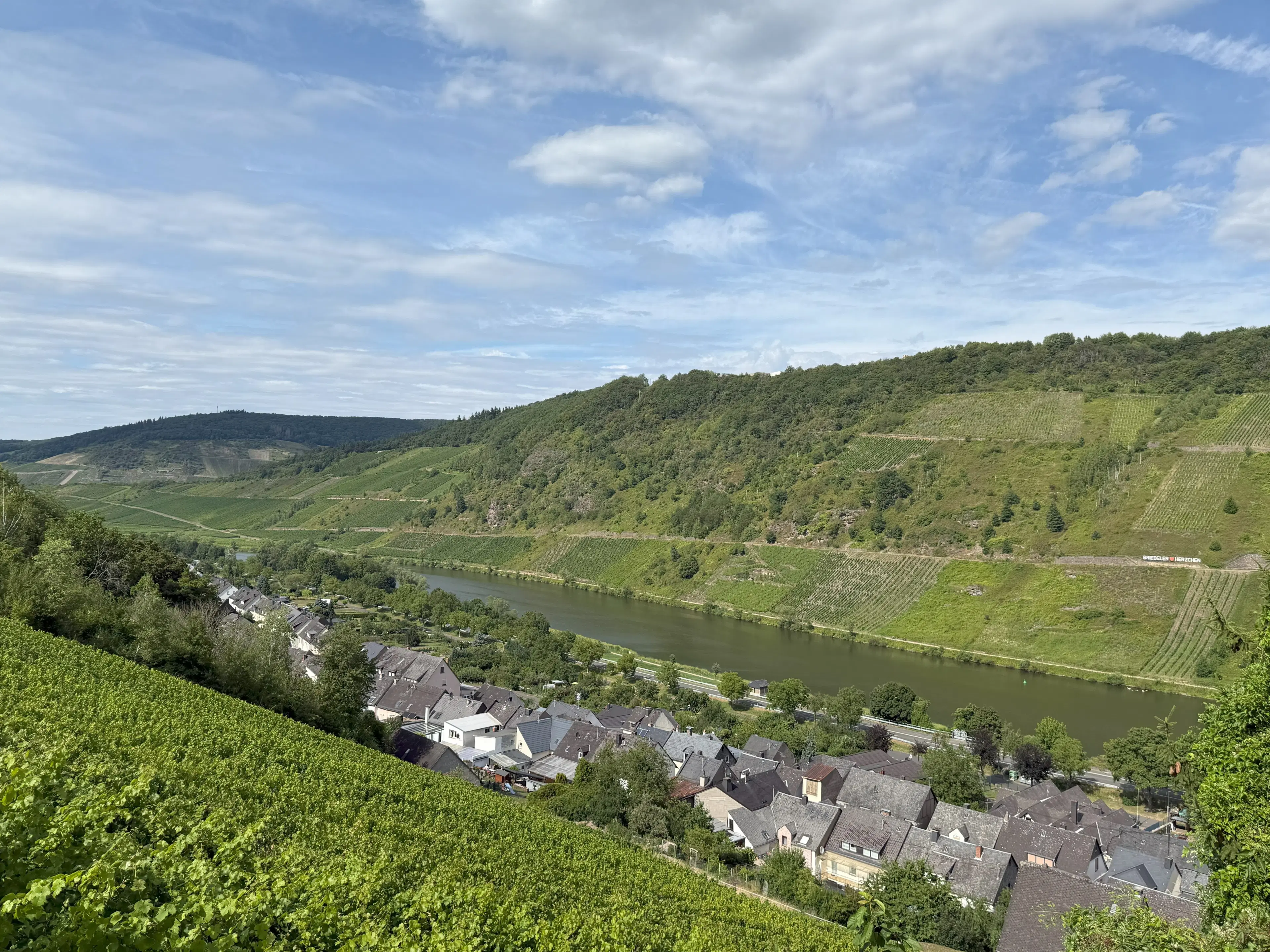 Voormalig wijngaard perceel van 860 m2, herontwikkelingskans in Briedel (Cochem) - Duitsland