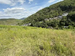 Voormalig wijngaard perceel van 860 m2, herontwikkelingskans in Briedel (Cochem) - Duitsland
