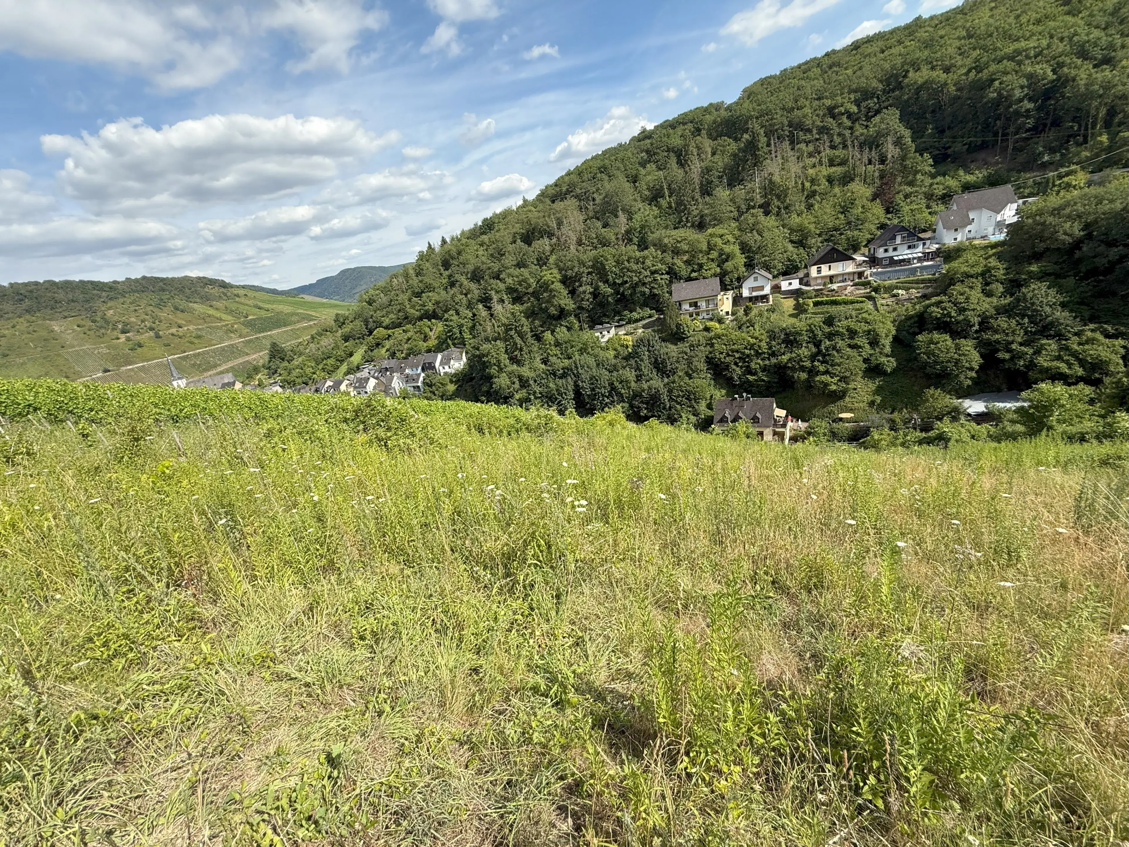 Voormalig wijngaard perceel van 860 m2, herontwikkelingskans in Briedel (Cochem) - Duitsland
