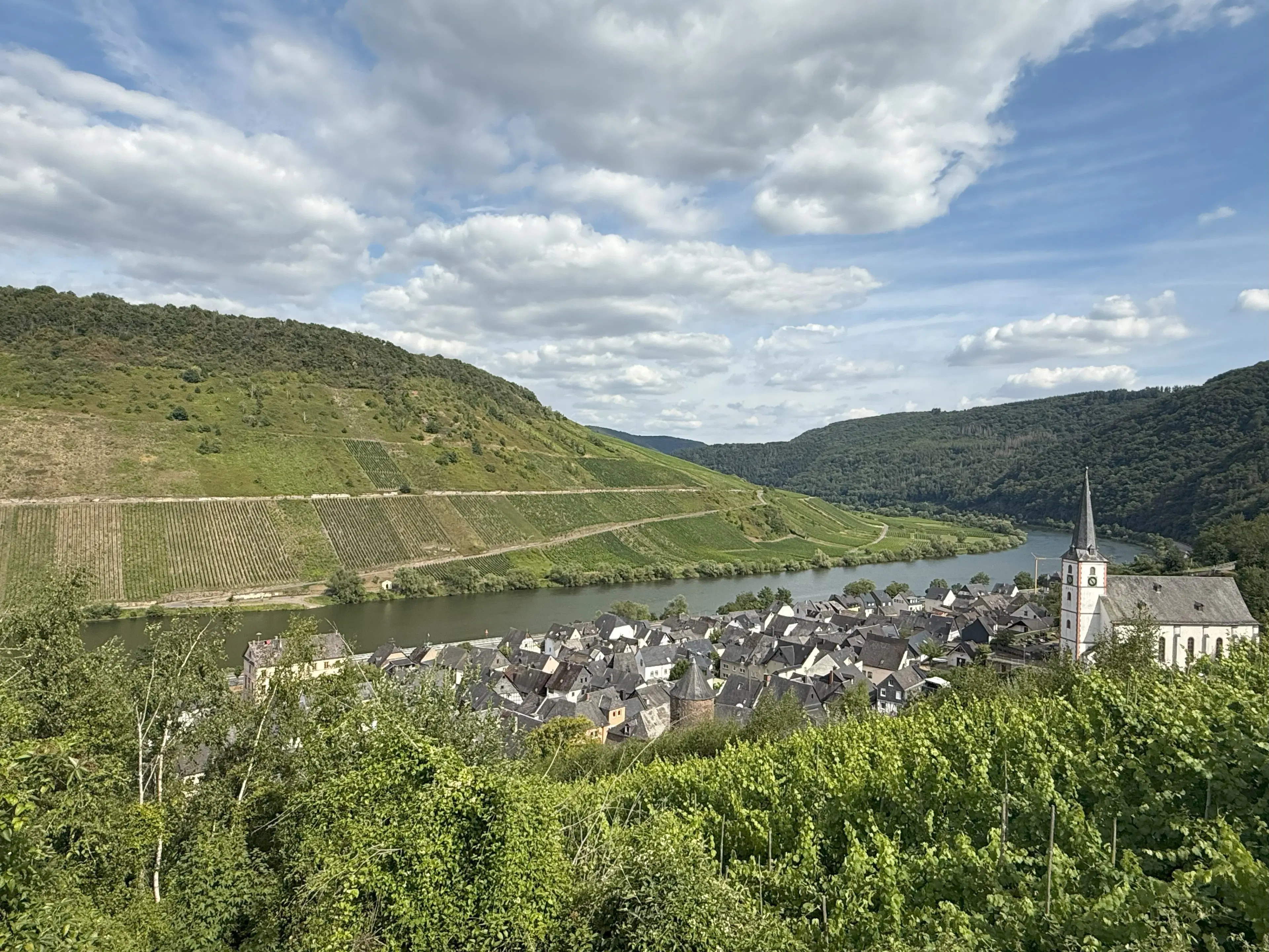 Voormalig wijngaard perceel van 860 m2, herontwikkelingskans in Briedel (Cochem) - Duitsland