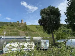 Voormalig wijngaard perceel van 860 m2, herontwikkelingskans in Briedel (Cochem) - Duitsland