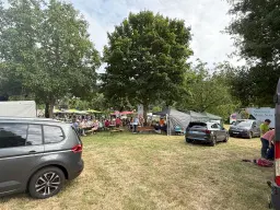 Voormalig wijngaard perceel van 860 m2, herontwikkelingskans in Briedel (Cochem) - Duitsland