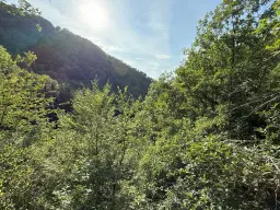 340 m² bosgrond in Cochem - Duitsland